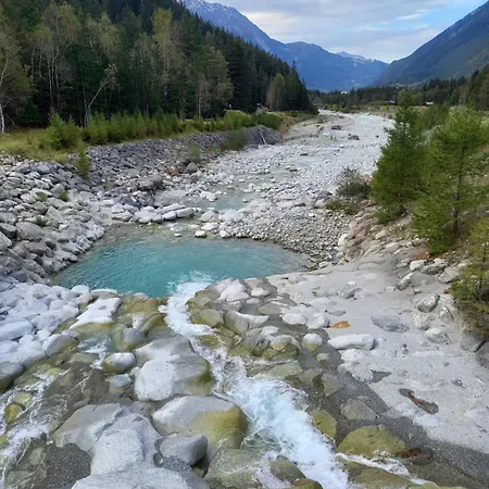 Avec Terrasse * שאמוני